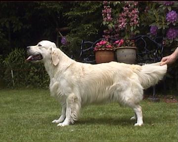 Foto Bert van Vlaanderen